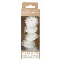 Lot De 5 Dahlias Azyme Scrapcooking - Blanc - 22 G