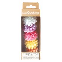 Lot De 5 Dahlias Azyme Scrapcooking - Couleurs Assorties - 22 G