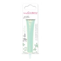 Stylo De Glaçage Chocolat Scrapcooking - Vert D'Eau - 25 G - Scrapcooking