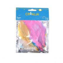 Lot De 40 Plumes Multi-couleurs Pastel - Créalia - Créalia enfants