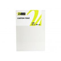 Carton Toilé 10p - 55x38cm - Monali