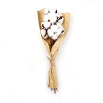 Bouquet De Fleurs De Coton Séchées - Créalia