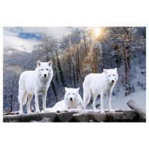 Puzzle 1000 Pièces - Loups Blancs - Cultura