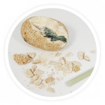 Œuf Dino À Déterrer - Buki