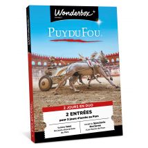 Puy Du Fou Journée 2 Jours - Wonderbox