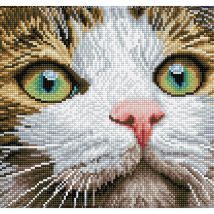 Diamond Dotz - Yeux Verts