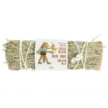 Sauge Bleu - 8-10 Cm - Tierra Zen