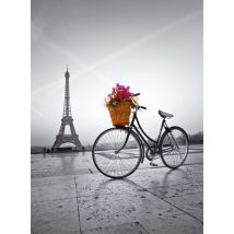 Puzzle 500 Pièces - Promenade Romantique À Paris - Clementoni