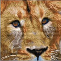 Broderie Diamant Kit Intermédiaire - Lion Du Serengeti - Diamond Dotz
