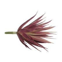 Branche Succulente Yucca - Rayher