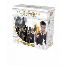 Harry Potter Une Année À Poudlard - Topi Games