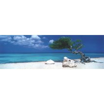 Puzzle 2000 Pièces - Panorama Div Div Tree - Matrix