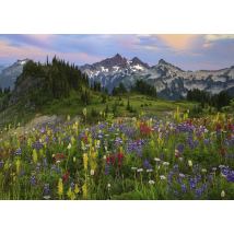 Puzzle 1000 Pièces - Tatoosh Mountains - Heye