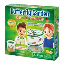 Elevage De Papillons - Buki