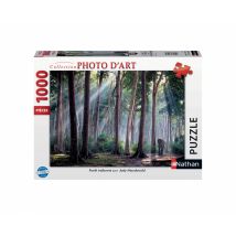 Puzzle 1000 Pièces - Forêt Indienne - Nathan