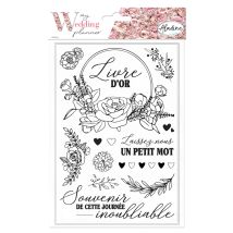 Tampons Mousse - Livre D'Or - Aladine