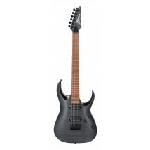 Ibanez Rga42fm - Guitare Électrique - Flat Gray Transparent