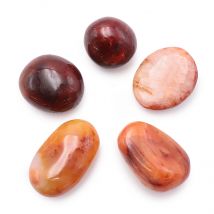 Galet T1 - Cornaline - Camille Ambiance Nature