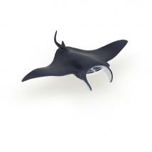 Raie Manta