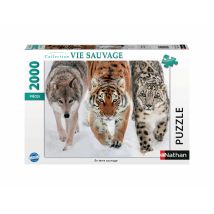 Puzzle 2000 Pièces - Vie Sauvage - Ravensburger - Nathan