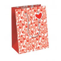 Sac Cadeau Excellia Clairefontaine - Moyen - 21,5x10,2x25,3cm - 210g - Ensemble De Coeurs