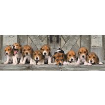 Puzzle Compact Panorama 1000 Pièces - Beagles - Clementoni