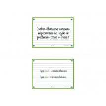 80 Flashcards - 10,5 X 14,8 Cm - Flash 2.0 Oxford - Ligné - Cadre Vert