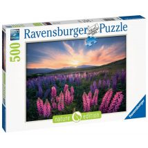Puzzle 500 Pièces - Les Lupins - Ravensburger
