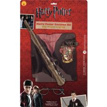 Déguisement - Harry Potter