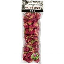 Fleurs Séchées - Trèfle Rouge - Créativ Company