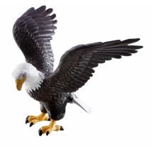 Aigle Royal Aigle Royal