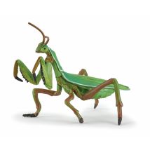 Mante Religieuse - Papo - 50244 - Papo