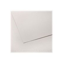 Feuille C A Grain 224g 50x65 - Canson