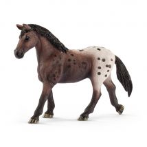 Figurine Jument Appaloosa - Horse Club - Schleich