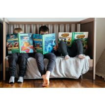 Voyage En Terre Ocre - Game Flow