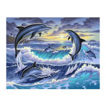 Peinture Au Numéro Oz International - Dauphin - 30x40 Cm