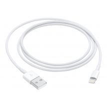 Apple Câble Lightning - Lightning / Usb 2.0 - 1 M