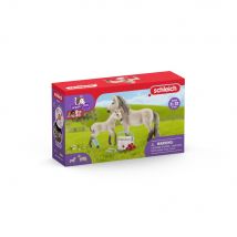 Figurine Kit De Secours D'Horse Club Hannah - Horse Club - Schleich