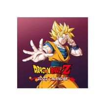 Calendrier 2022 - Erik - 30 X 30 Cm - Dragon Ball Z - Grupo Erik