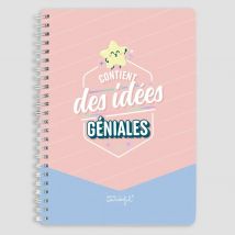 Mr Wonderful Cahier A5 - Contient Des Idées Géniales