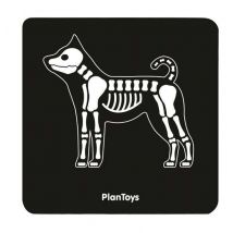 Plan Toys - Ma Valise De Vétérinaire - Plan Toy