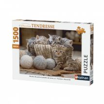 Puzzle 1500 Pièces - Boules De Poils Et Pelotes De Laine - Ravensburger