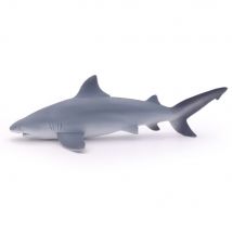 Le Requin Bouledogue, Que L'On Retrouve Sur Les Côtes De Toutes Les Mers Tropicales Et Subtropicales Du Monde, Tient Son Nom De Son Apparence Massive.