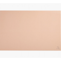 Sous-mains - Aquarel - Exacompta - 57,5 X 37,5 Cm - Corail