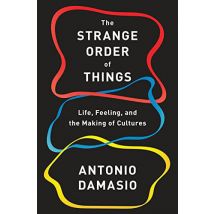 The Strange Order Of Things - - PAS DE MARQUE -