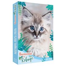 Agenda Scolaire 2025-2026 Hachette Jeunesse - 12 X 17,7 Cm - Bienvenue Au Refuge - - PAS DE MARQUE -