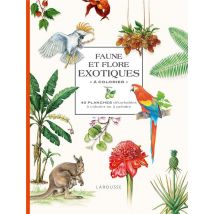 Faune Et Flore Exotiques A Colorier