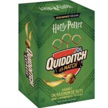 Harry Potter - Quidditch, Le Match