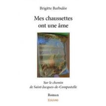 Mes Chaussettes Ont Une Âme : Sur Le Chemin De Saint-jacques-de-compostelle - Roman