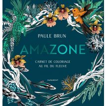 Fleuve Amazone